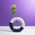 Load image into Gallery viewer, Two-Toned Donut Vase
